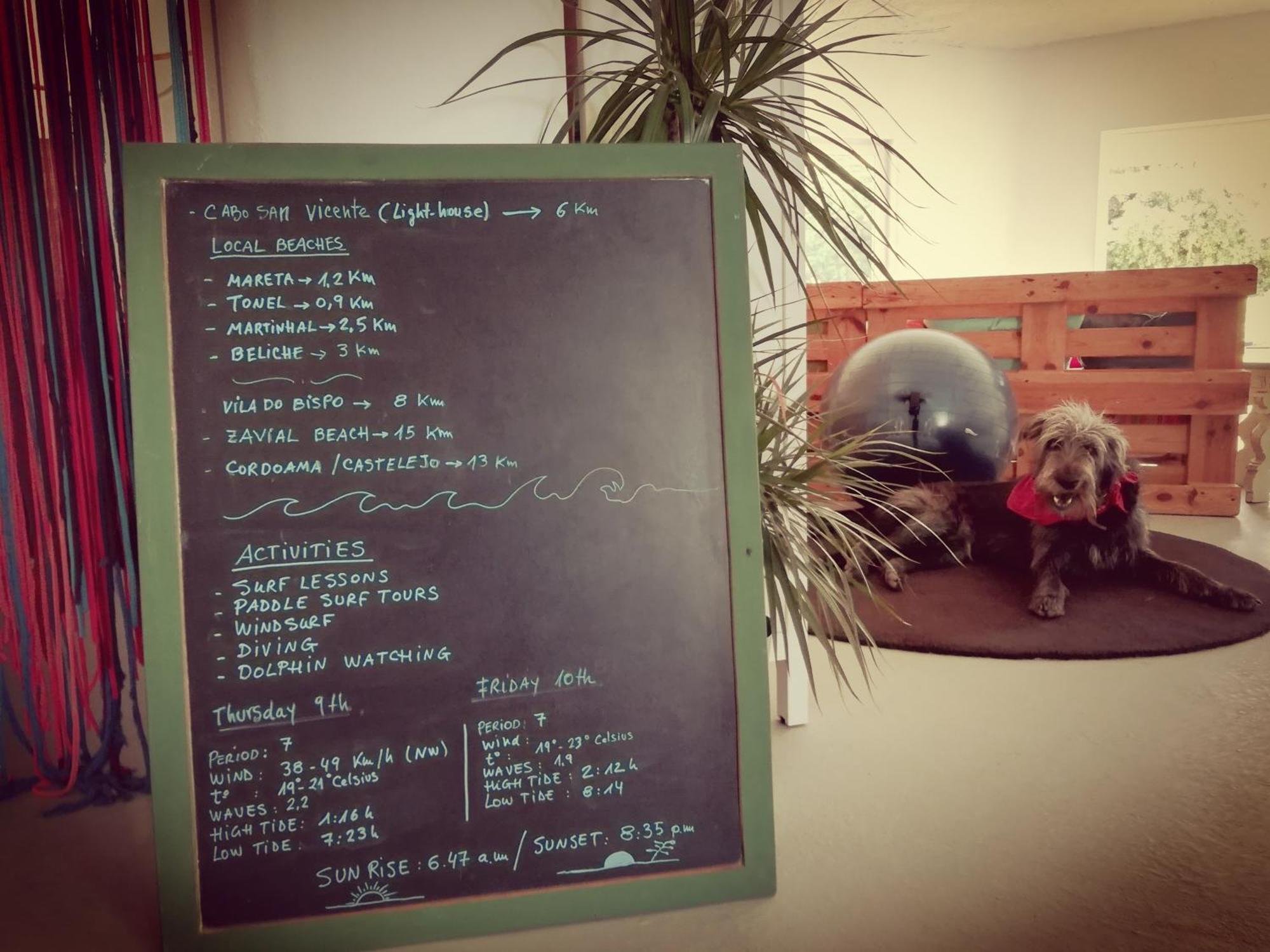 Blacksheep Sagres Guesthouse & Surf Bagian luar foto